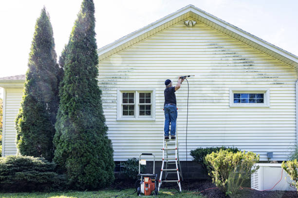 Best Residential Pressure Washing Services  in Rio Linda, CA